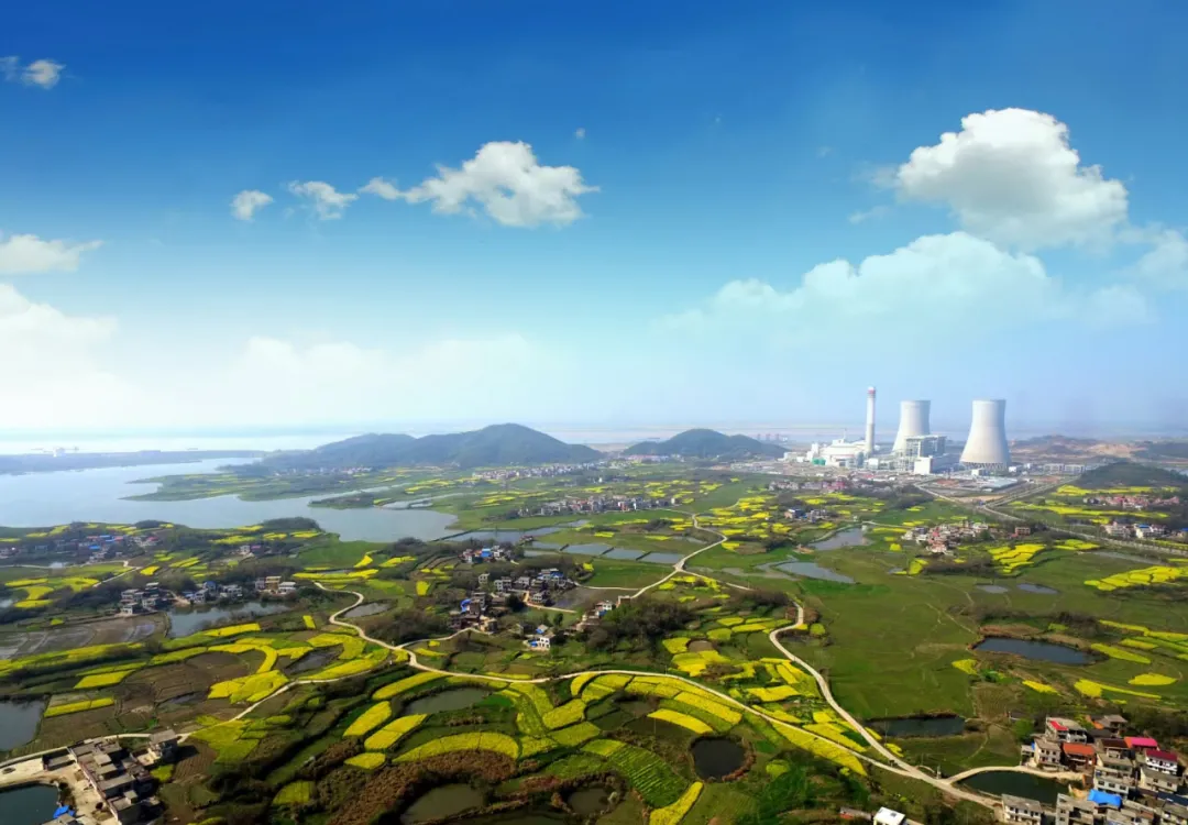 电厂全景 电厂全景